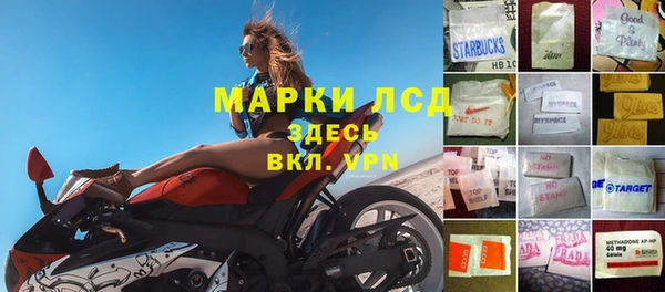 ПСИЛОЦИБИНОВЫЕ ГРИБЫ Алзамай