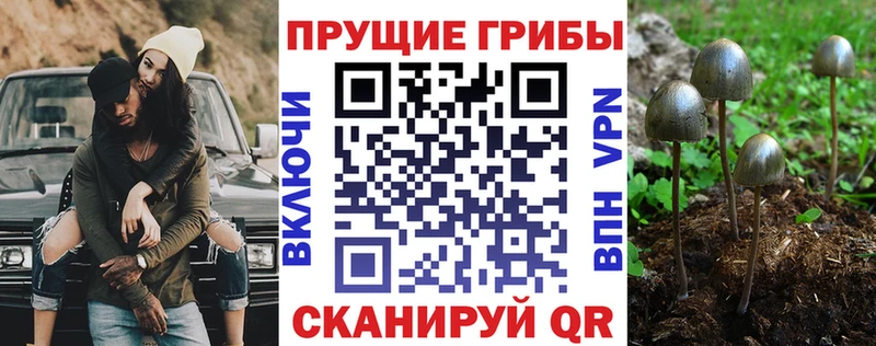 Псилоцибиновые грибы мицелий  Саров 
